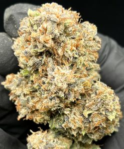 Buy 9 lb Hammer Cannabis Strain Online