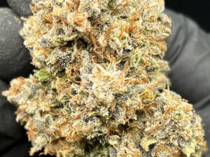 Buy 9 lb Hammer Cannabis Strain Online