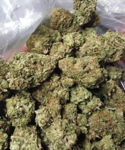 Buy Acapulco Gold Online