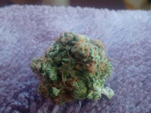 Buy Afghan Kush Online