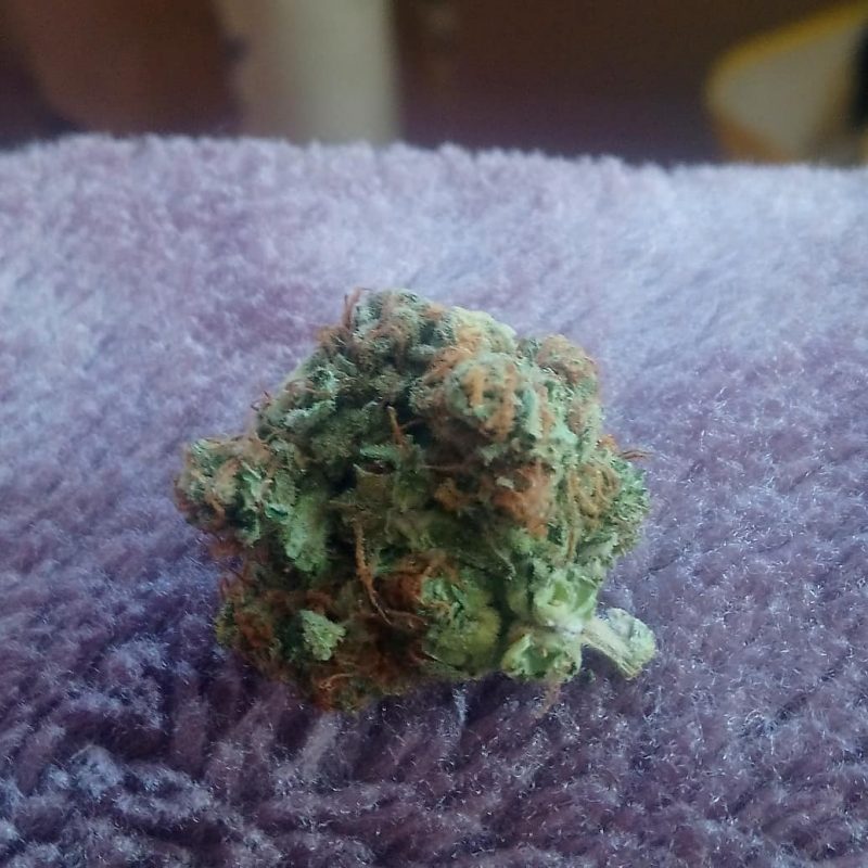 Buy Afghan Kush Online