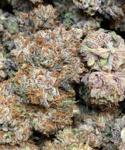 Buy Blue Dream Online