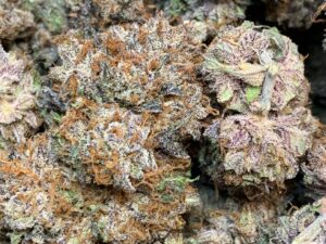 Buy Blue Dream Online