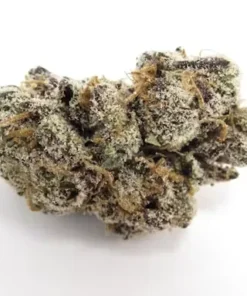 Dense, grape-shaped Coochie Runtz strain bud with forest green and purple hues under a thick layer of white trichomes.