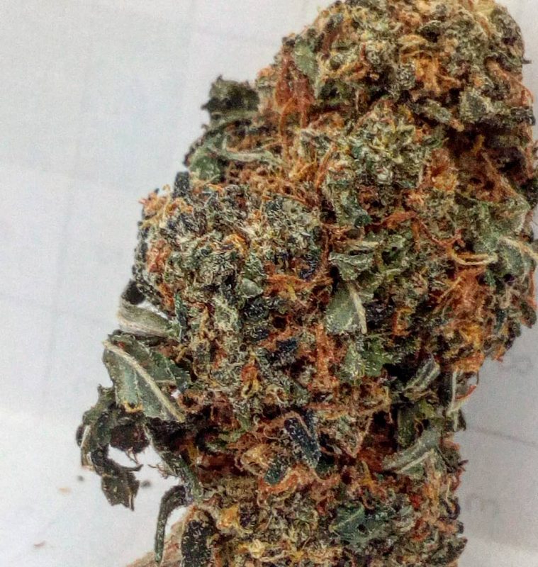 Buy Fruitylicious Online