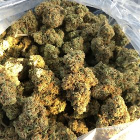 Gelato 45 is a hybrid marijuana strain made by crossing Girl Scout Cookies and Sherbet.