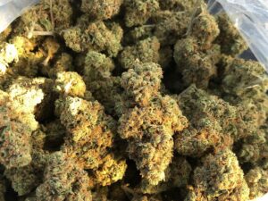 Buy Gelato 45 Online