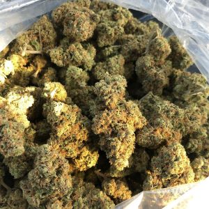 Buy Gelato 45 Online