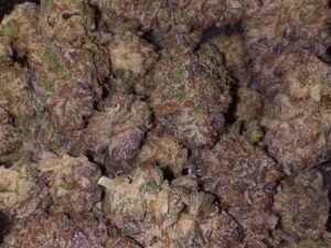 Granddaddy Purple