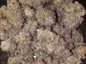 Buy Grand Daddy Purple Online