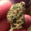 Buy LA Confidential Online