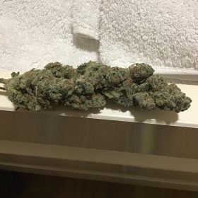 Northern Lights
