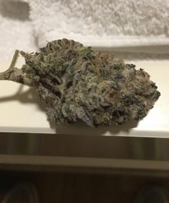 Northern Lights