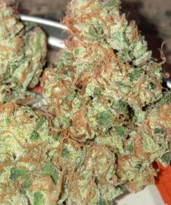 Sour Diesel