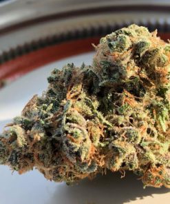 Dense, bright green Sour Pineapple cannabis buds with orange pistils and frosty trichomes, showcasing a fresh tropical appearance.