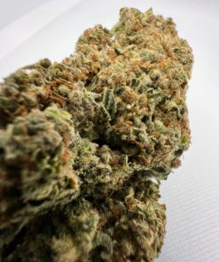Buy Trainwreck Online