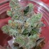 Buy White Widow Online.