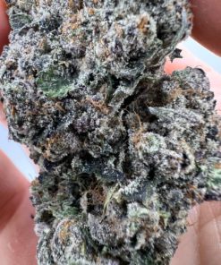 Buy Blue Cheese Online