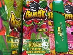 Burst 2G Disposable