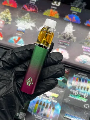 Experience the convenience of Sluggers Hit 2g Disposable Vape Pens. Enjoy high-quality THC oil, delightful flavors, and smooth vaping. Perfect for on-the-go use!