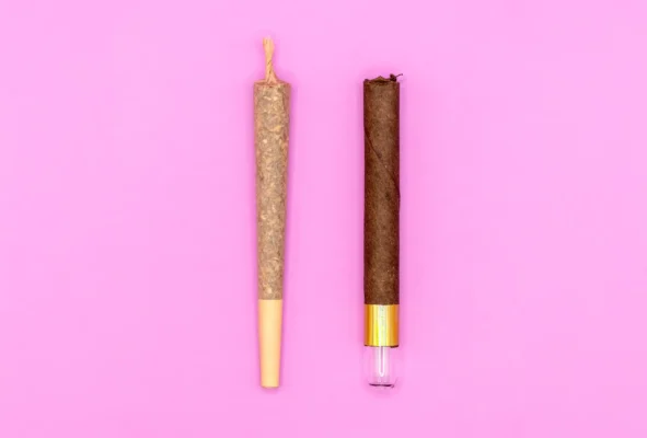 Comparison of blunts and pre-rolls highlighting key differences in flavor, size, and nicotine content.