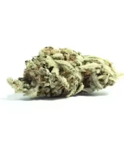 Dense Cake Crasher hybrid strain bud with light green and pastel purple leaves covered in a thick frosting of trichomes.