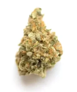 Dense, spear-shaped Donny Burger strain bud showing olive green leaves, dark purple streaks, and heavy trichomes.