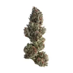 Dense Double Runtz strain bud showing rich purple and lime green hues under a heavy frosting of white trichomes.