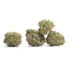 Close-up of Blueberry Kush cannabis flower on a plain white background showing dense trichomes and deep purple hues.