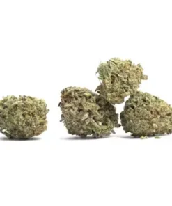 Close-up of Blueberry Kush cannabis flower on a plain white background showing dense trichomes and deep purple hues.