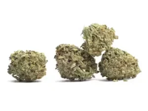 Close-up of Blueberry Kush cannabis flower on a plain white background showing dense trichomes and deep purple hues.