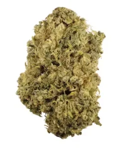 Durban Poison strain – pure sativa cannabis flower with frosty trichomes and vibrant green buds