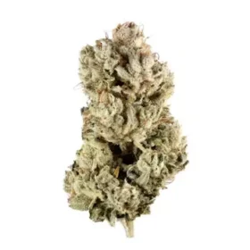 Close-up of Gorilla Glue #4 cannabis buds with dense trichomes and earthy green tones