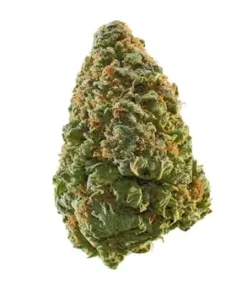 Close-up of Green Crack Kush cannabis buds with vibrant green hues, orange hairs, and a frosty trichome coating.