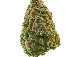 Close-up of Green Crack Kush cannabis buds with vibrant green hues, orange hairs, and a frosty trichome coating.