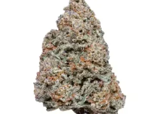 Close-up of dense MAC 1 cannabis buds with frosty trichomes and vibrant orange hairs.