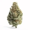 White Runtz cannabis buds – frosty trichomes, vibrant greens, and purple hues.