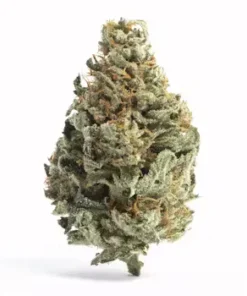 White Runtz cannabis buds – frosty trichomes, vibrant greens, and purple hues.