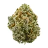 ZaZa weed strain with dense purple and green buds covered in frosty trichomes.