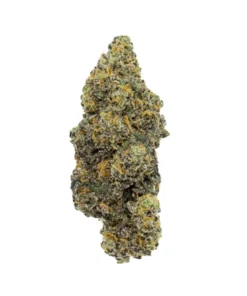 Dense Runtz hybrid strain bud showing vibrant lime green and deep purple leaves under a thick frosting of trichomes.